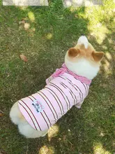 春夏用 犬用ウェア【毛防止・UVカット・防汚・柴犬・コーギー用・短袖Tシャツ】