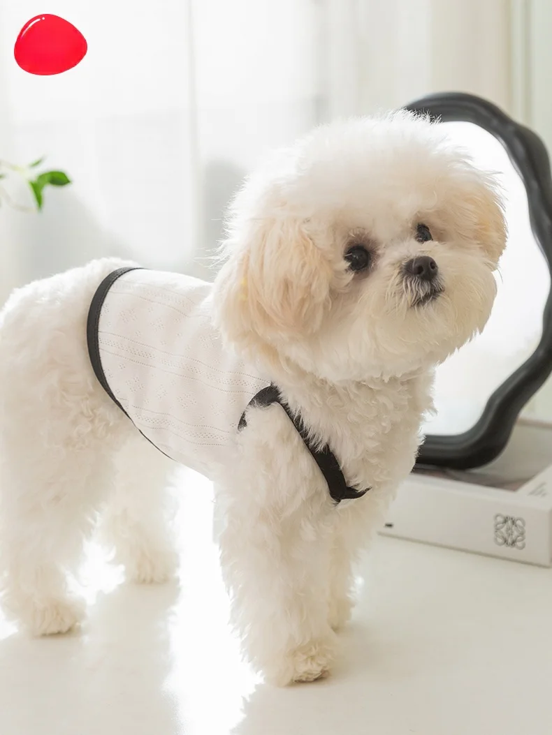 犬用蝶結び付き通気性サスペンダー服：夏用薄手タイプの抜毛防止機能を実証