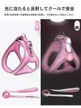 中小型犬用ハーネスとリード【ウェストスタイル・比熊対応】