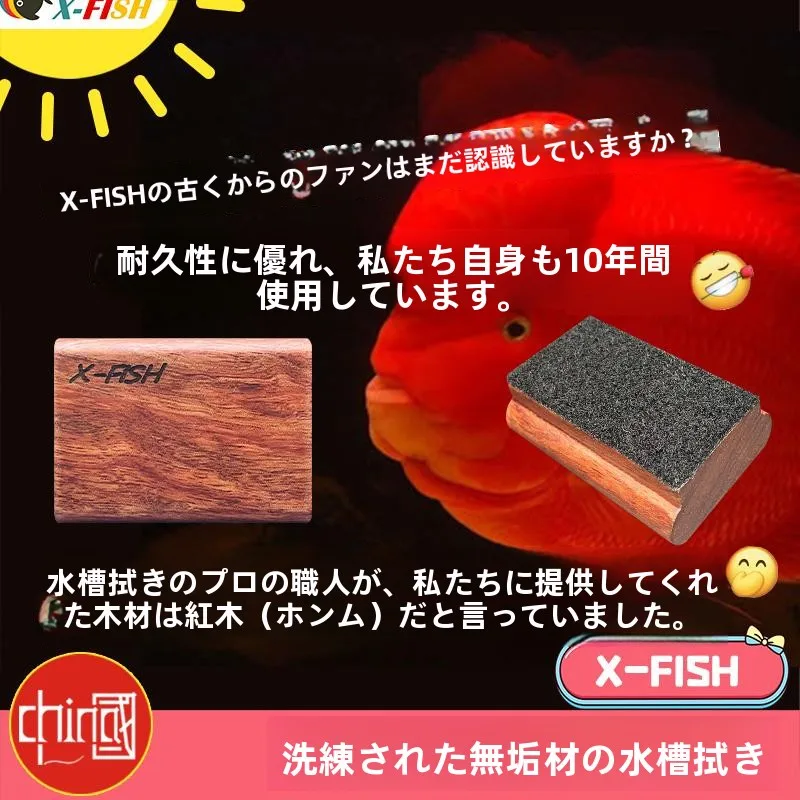 水槽の藻が増えるのはなぜ？強力マグネット付きガラスクリーナーで解決できる本当の方法とは