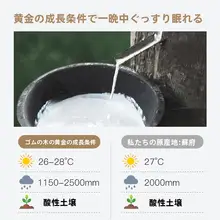 天然ラテックス 小丸枕【円柱型・ネックサポート・快適睡眠用】