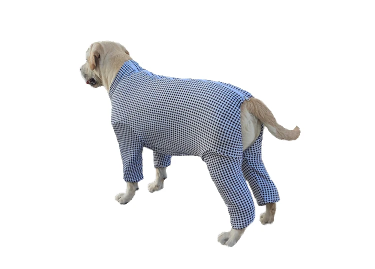 犬のお散歩グッズをコスパ良く揃える方法｜厚手コットンハイネックコートの実測ガイド