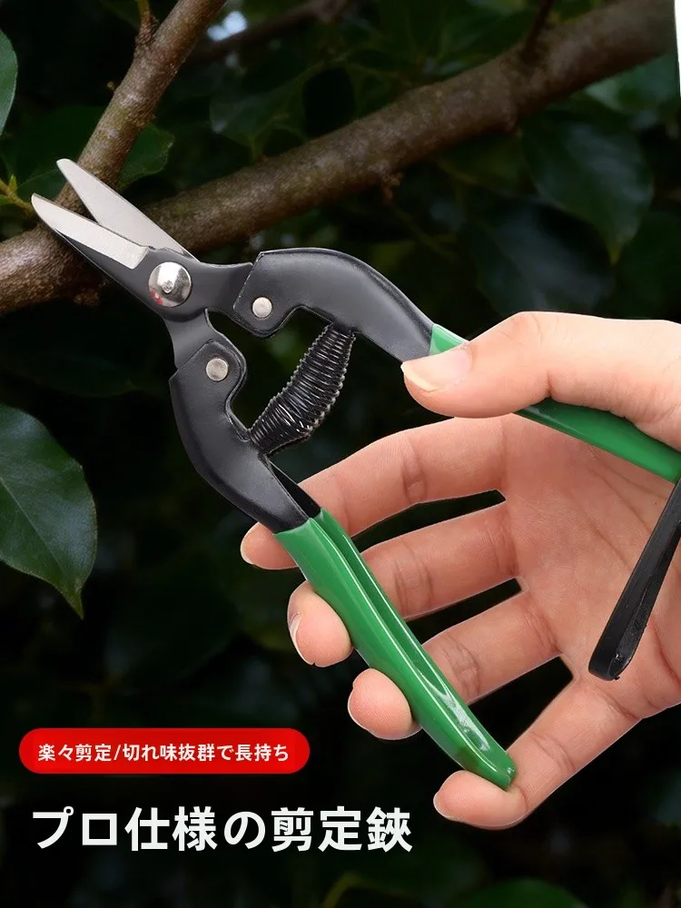 強力樹枝剪定鋏：木の剪定に最適な金属製ツールの実用性と使い方