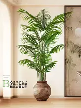 サンパギーナ 大型 オブジェ リビング室内 高級 バイオニック グリーンプランツ 装飾