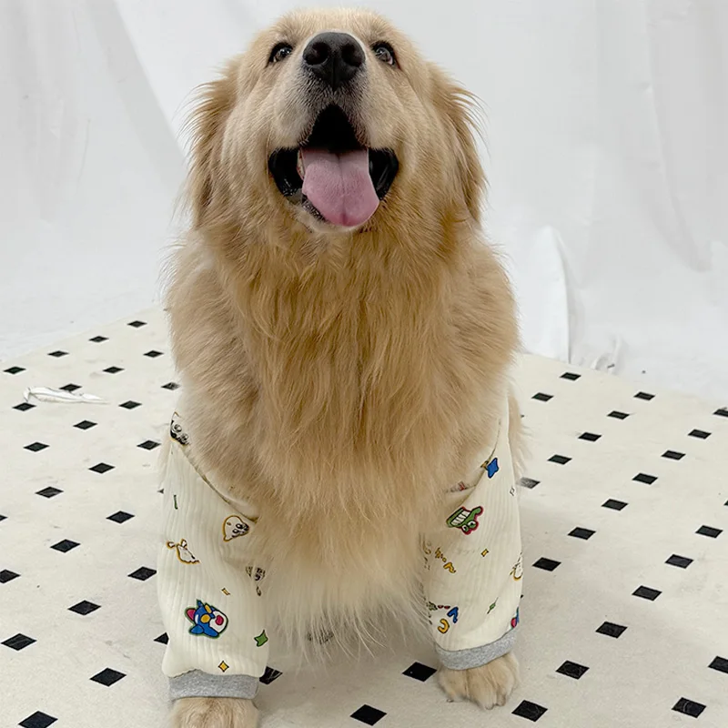 ゴールデンレトリバーの寒さ対策に最適な大型犬服の選定ガイド