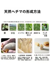 天然ヘチマ繊維の食器洗い用スポンジ【油が付きにくい・キッチン用クリーニングアイテム】