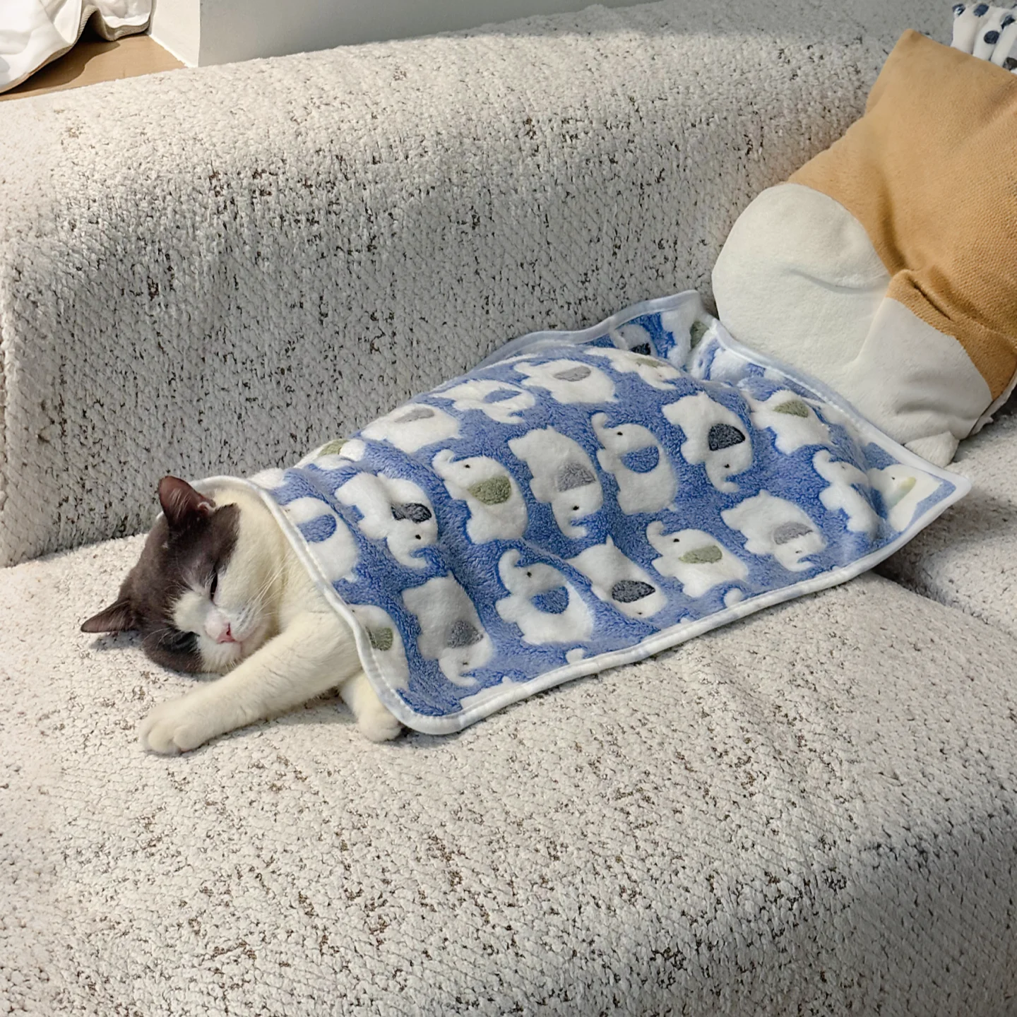 猫デザインのふわふわブランケット：冬用保温機能と四季対応の実用性