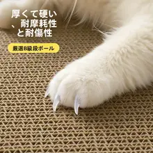 猫ベッド 爪とぎ 一体型 段ボール 長方形 ボックス型 リフィル交換可能 耐久性 が出にくい 猫用品