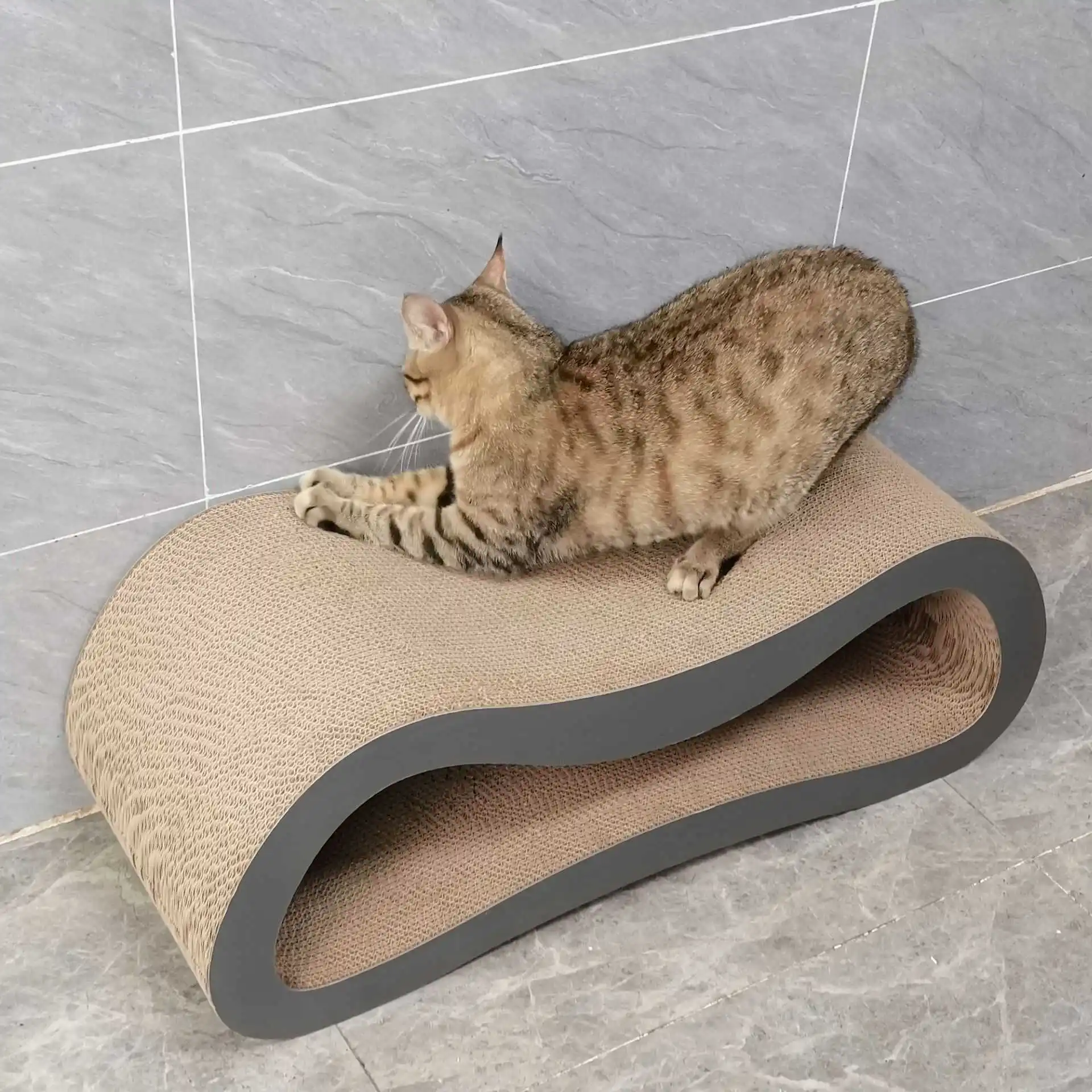 キャットボード 大型 マルチキャット用 段ボール 耐磨耗 一体型：ボックスパレットとダンボールの違いを徹底比較