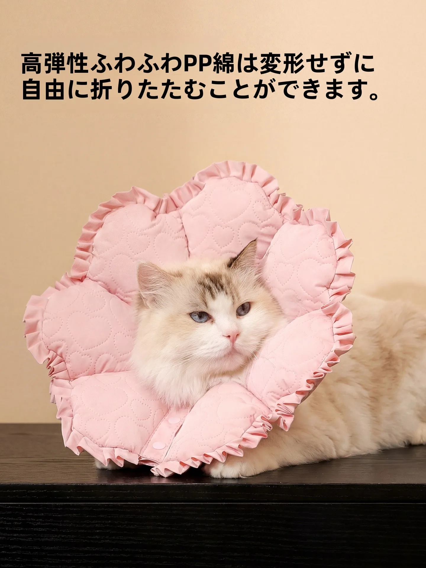 防災時にも安心できる、犬や猫に使えるエリザベスカラーはどれがおすすめ？