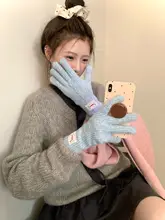 タッチスクリーン対応 厚手保温手袋【冬用・女性用・指分けタイプ・ブルー】