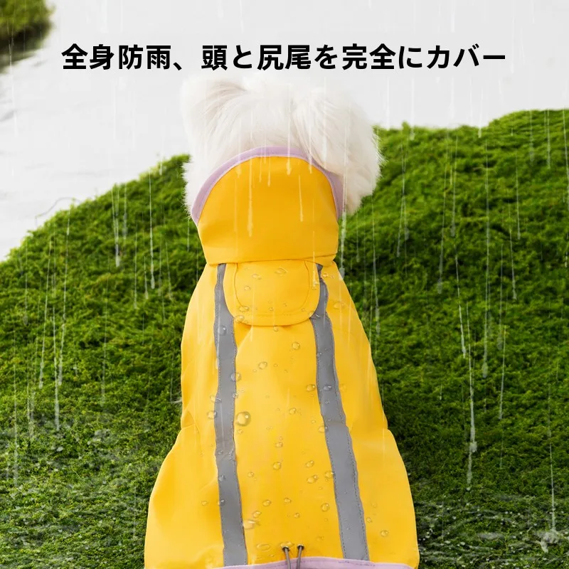 犬のお散歩グッズをコスパ良く揃える方法｜フード付きレインコートで快適性を徹底解説