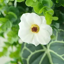 北欧風のフェイクグリーン壁飾り【白花垂れ下がり・インテリア装飾用】