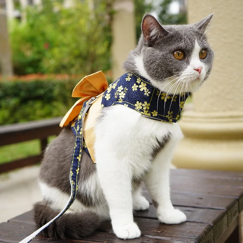 かわいいハーネスを選ぶときに迷うなら、この1つのスタイルが答えになる？