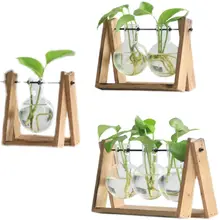 水耕花瓶 オフィス デスク装飾 ガラス 木製フレーム グリーンローブ 植物 創造的デザイン
