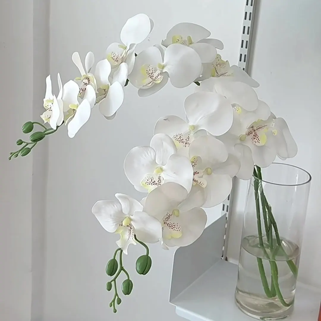ホワイトガーデンとは？胡蝶蘭の造花が提供する高級感あるインテリアの実態