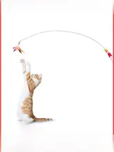 猫じゃらし 猫用おもちゃ 猫に合った 使用 スチール製 耐久性