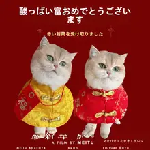 新年用ペット用衣装【犬猫対応・中国風・赤い封筒デザイン・マントタイプ】