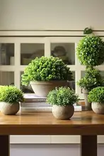 リアルなグリーン植物ミニ盆栽【インテリア・デスクトップ装飾用】