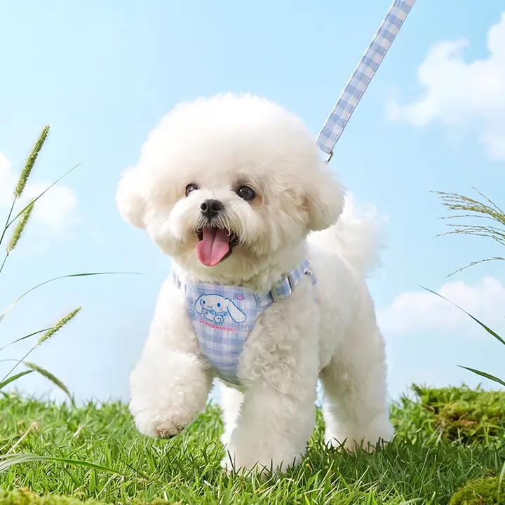 hipidog ハーネスタイプの犬用牽引ロープ【小型犬用・テディ・ビション・ポメラニアン・幼犬対応】