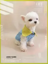 デニム風花柄刺繍ポケット付き小型犬猫用翻領パーカー【春秋用・リード付き】