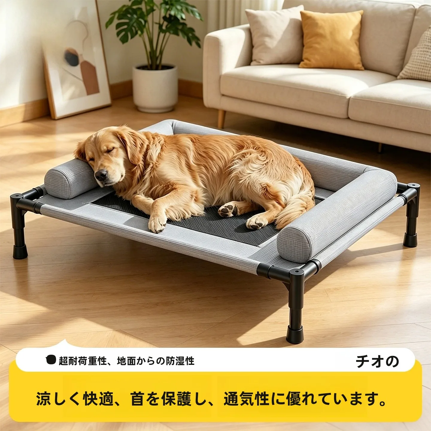 夏用 洗えるペットベッド 大型犬対応の屋外用ベッドはどれが安心か？