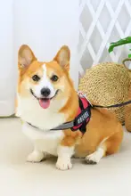 愛犬用 防爆設計 胸部ハーネス【中型犬・小型犬用・お出かけ対応】