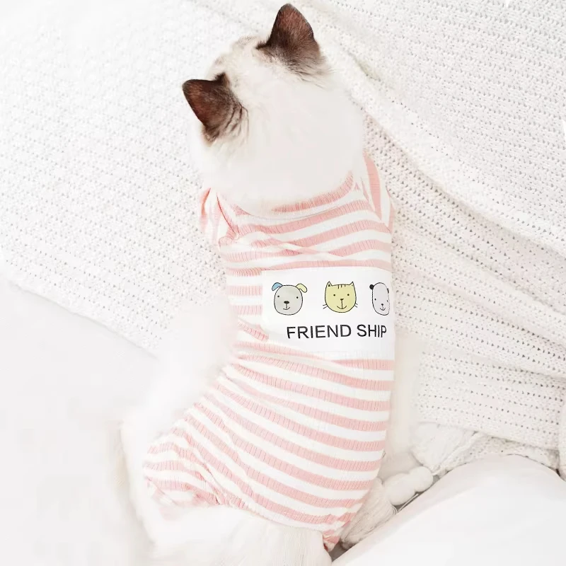 猫レディースとは？その魅力と実際の使い方を、日常のシーンで解き明かす