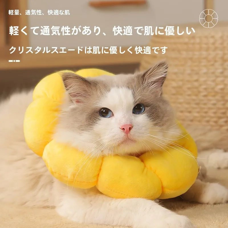 猫飼いが買ってよかったもの・悪かったもの正直に言う｜術後ケアで安心感を届けるひまわりエリザベスカラーの実測ガイド