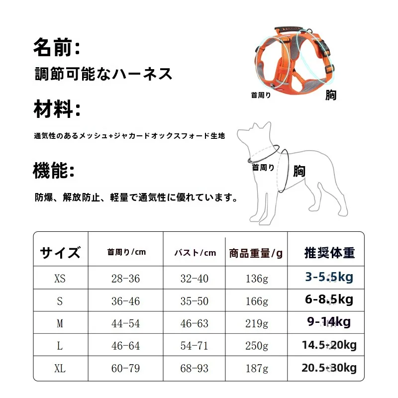 犬のお散歩グッズをコスパ良く揃える方法 - 小型犬用ハーネスリードの仕様と選定基 準