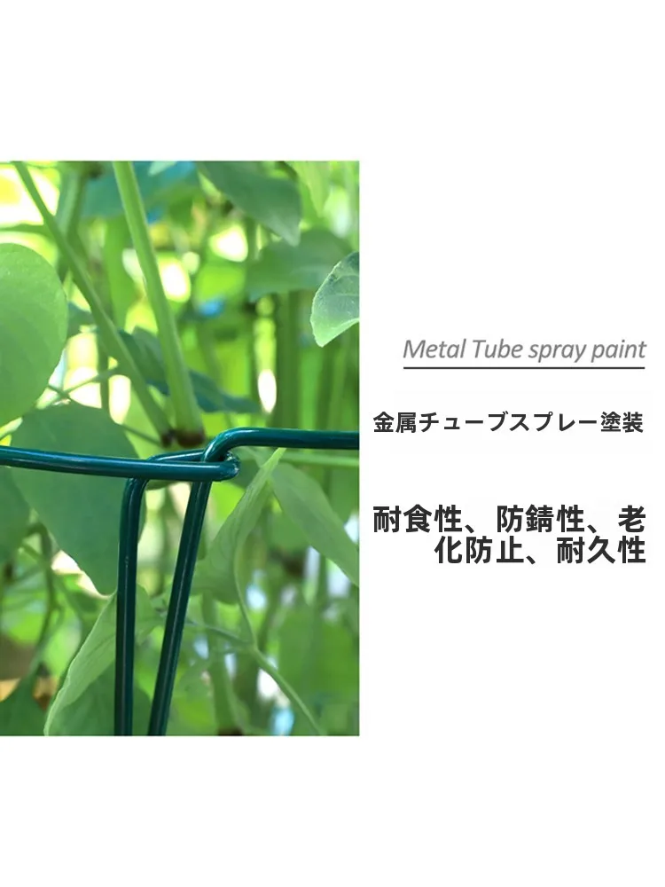 揃えるミニマリスト部屋づくりアイテム｜植物が倒れないための支柱選びの完全ガイド