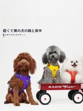 快適な軽量設計！犬用胸部ハーネス【通気性・中小型犬用】