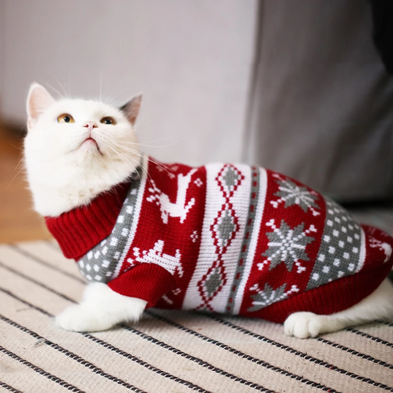 おうち時間を豊かにするおすすめアイテム｜猫用秋冬服の選び方とデザインの秘密