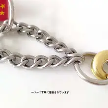 中型大型犬用 犬用首輪とリード【毛を挟まないデザイン】