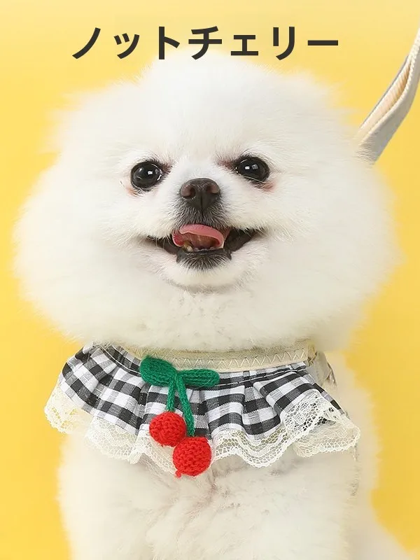 小型犬の外出に欠かせない「胸ハーネス付きリード」は、本当に必要なのか？