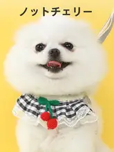 小型犬用 胸部ハーネス付きリード【外出用・ボディハーネス・ペット用】