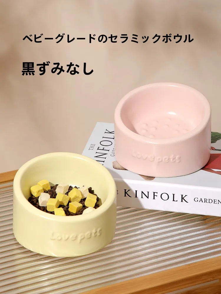 インテリアグッズ比較レビュー｜猫用食器の選び方と安定性・色合いの徹底解説