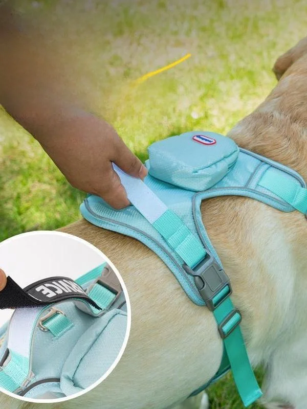 犬のお散歩グッズをコスパ良く揃える方法｜胸背式ハーネスで散歩の安心を実現