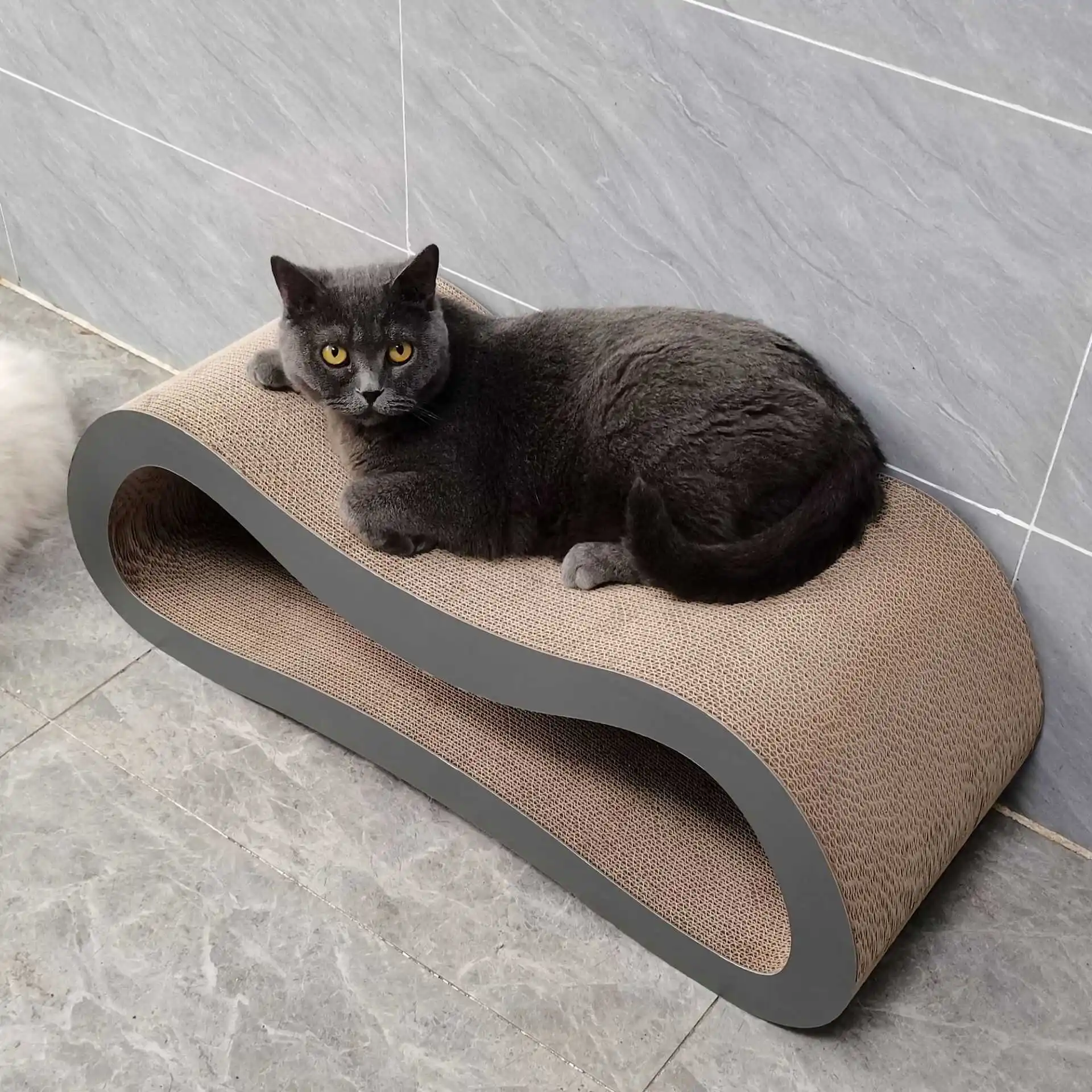 キャットボード 大型 マルチキャット用 段ボール 耐磨耗 一体型：ボックスパレットとダンボールの違いを徹底比較