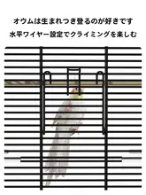 透明な大型鳥かご【オウム・セキセイインコ・繁殖用】