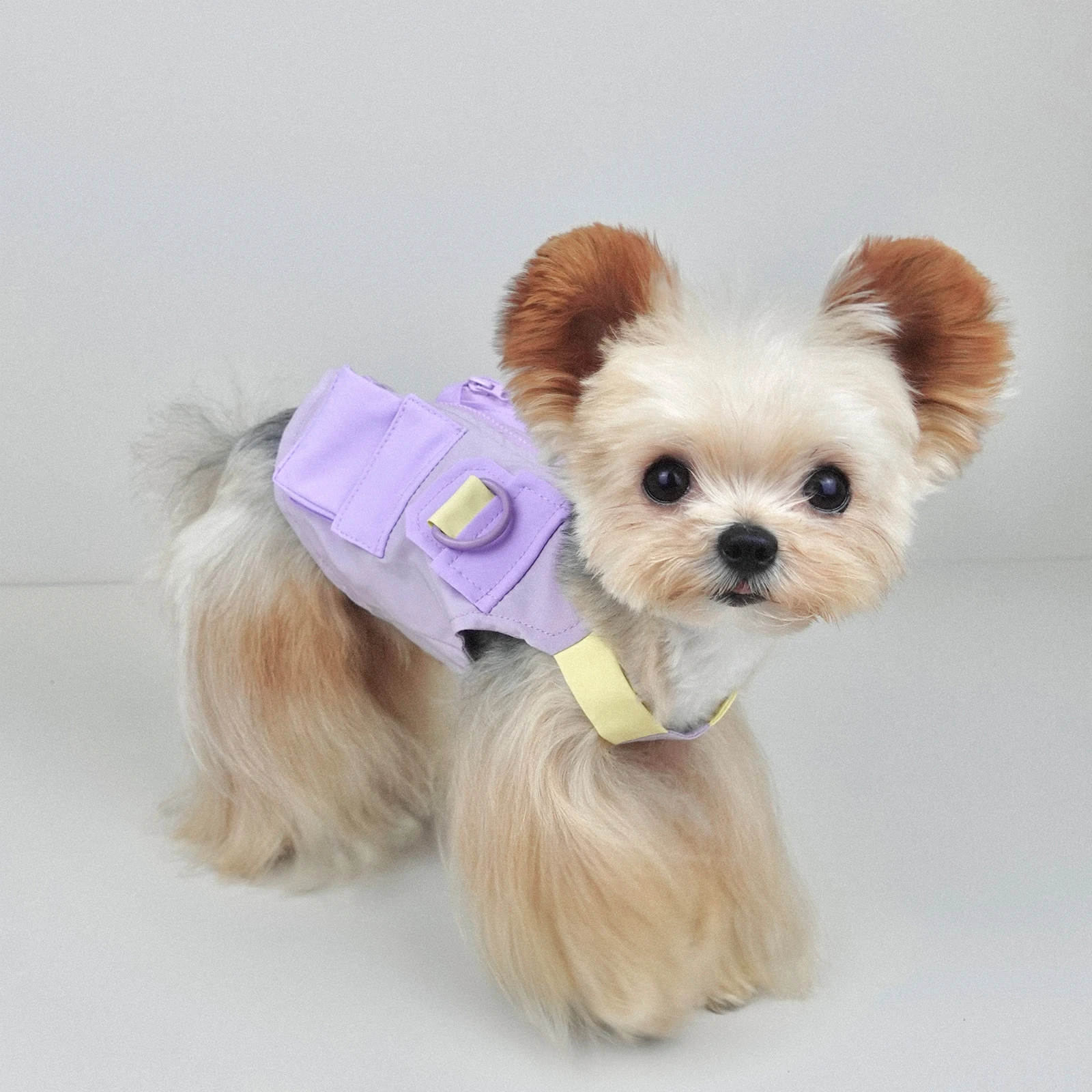犬のお散歩グッズをコスパ良く揃える方法｜ハーネス付きベストで動きやすさと安全を実現