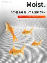 防水アウトドア用ピクニックマット【厚手・携帯型・デュアルシングルサイズ・キャンプ用品】