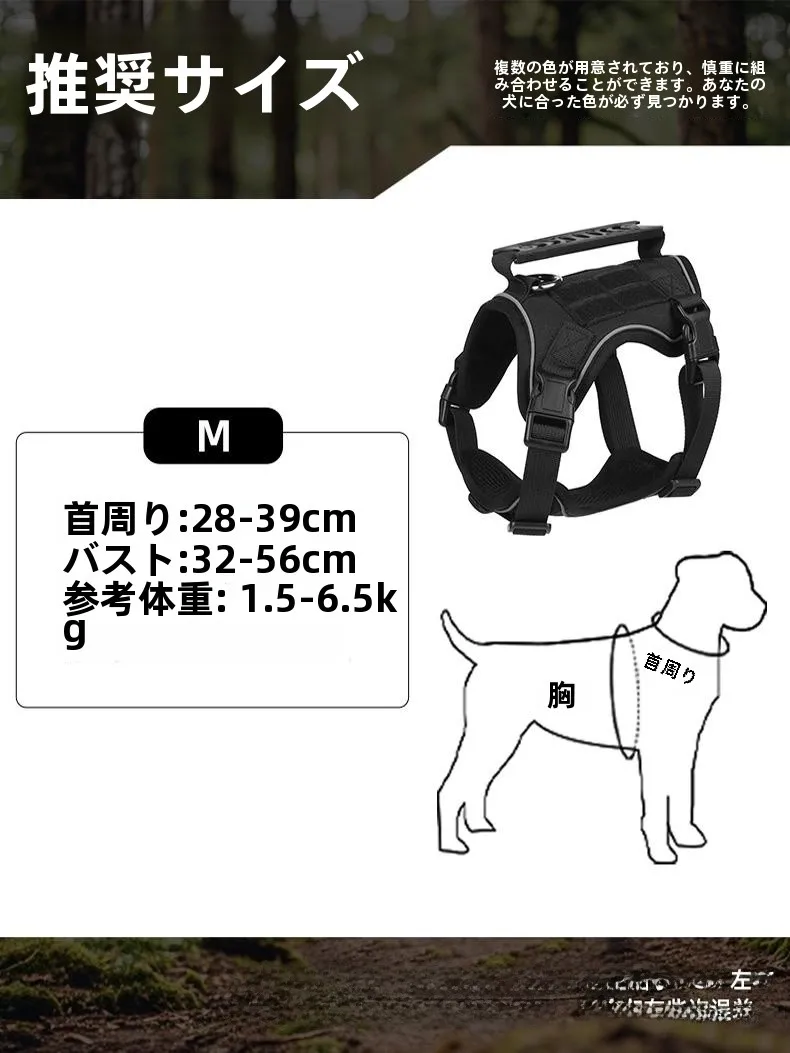 犬のお散歩グッズをコスパ良く揃える方法　完全ガイド