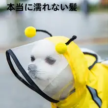 可愛い蜂デザインの犬用レインコート【防水・小型犬用】