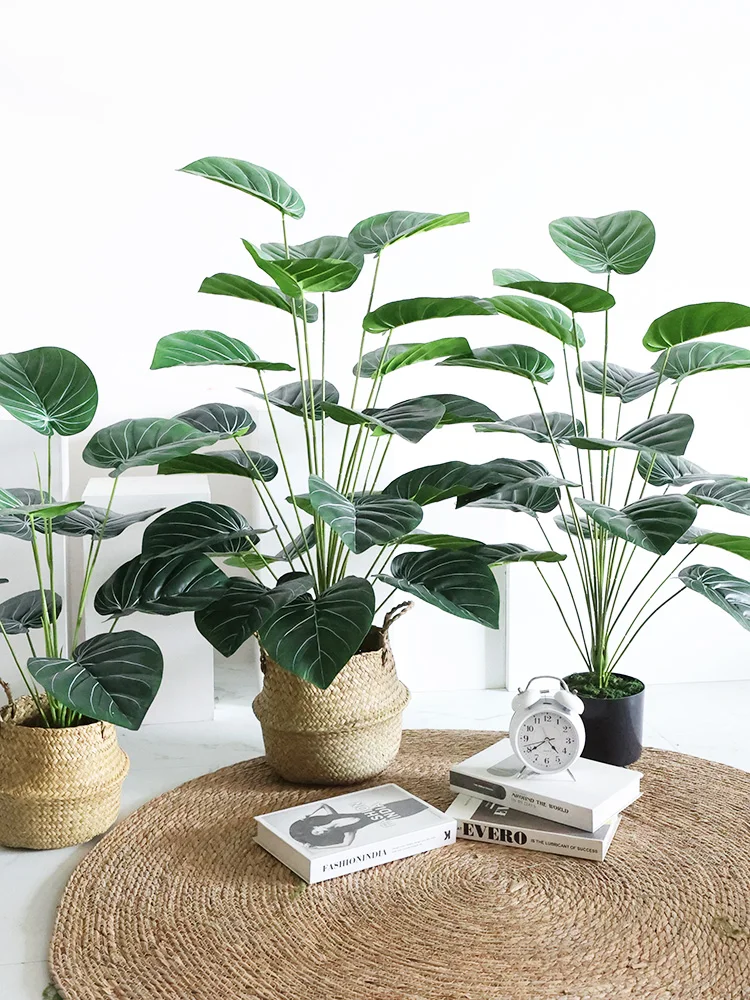 韓国カフェ風インテリアを再現するための観葉植物ツルビニ鉢植え