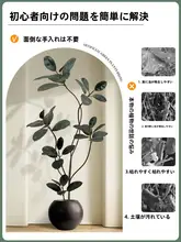 高級感ある人工観葉植物【ゴムの木・インテリア装飾・リビング用】