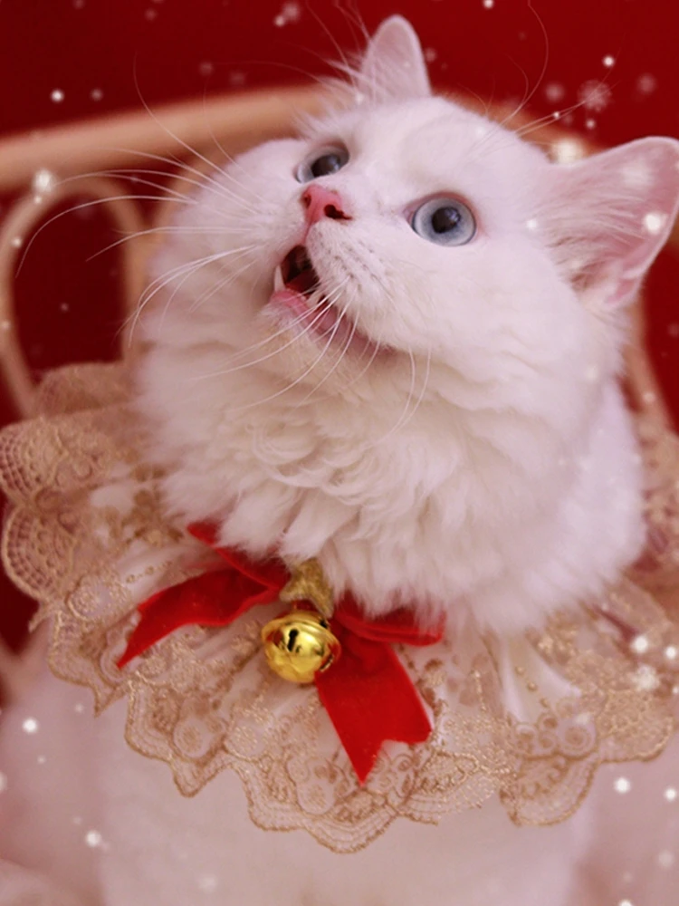 猫 のヘアアクセサリーを選ぶときに迷わない方法は？
