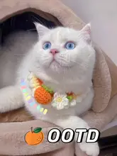 ペット用手作りニットカラー【猫用・犬用・おしゃれなアクセサリー】