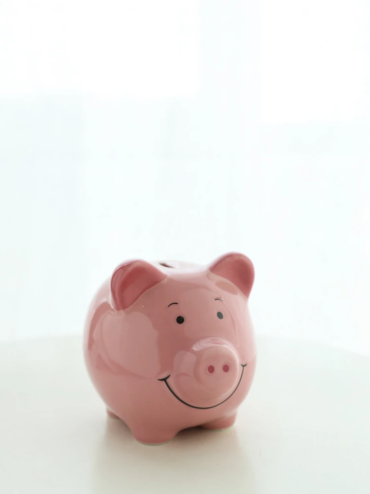 陶製 ペイシー豚貯金箱【かわいいピンク・インテリア装飾用】