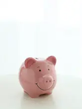 陶製 ペイシー豚貯金箱【かわいいピンク・インテリア装飾用】